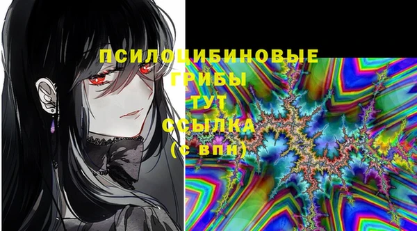 ECSTASY Краснослободск
