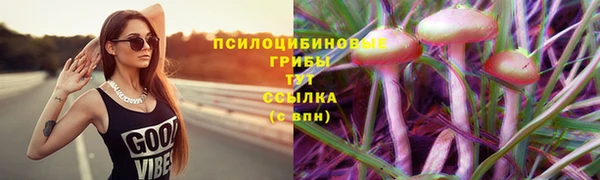 ECSTASY Краснослободск