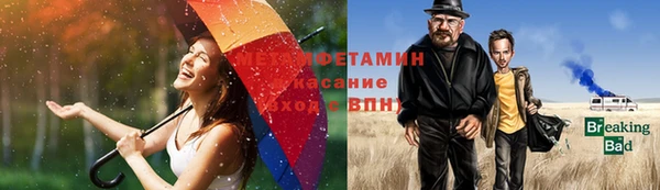 PSILOCYBIN Лагань